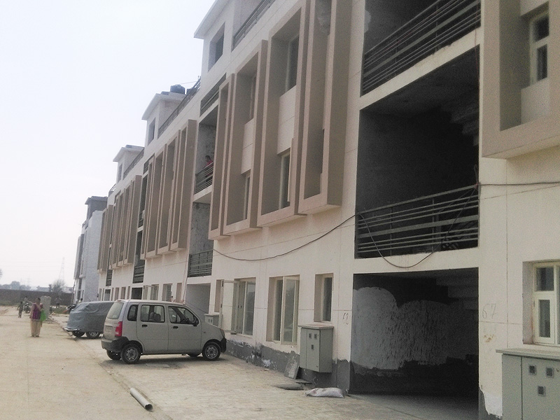 Green Leaf / Yellow Leaf Palm Garden Sahnewal 01