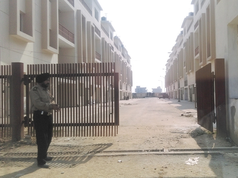 Green Leaf / Yellow Leaf Palm Garden Sahnewal 02