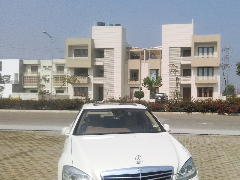 Green Leaf / Yellow Leaf Palm Garden  Sahnewal 03