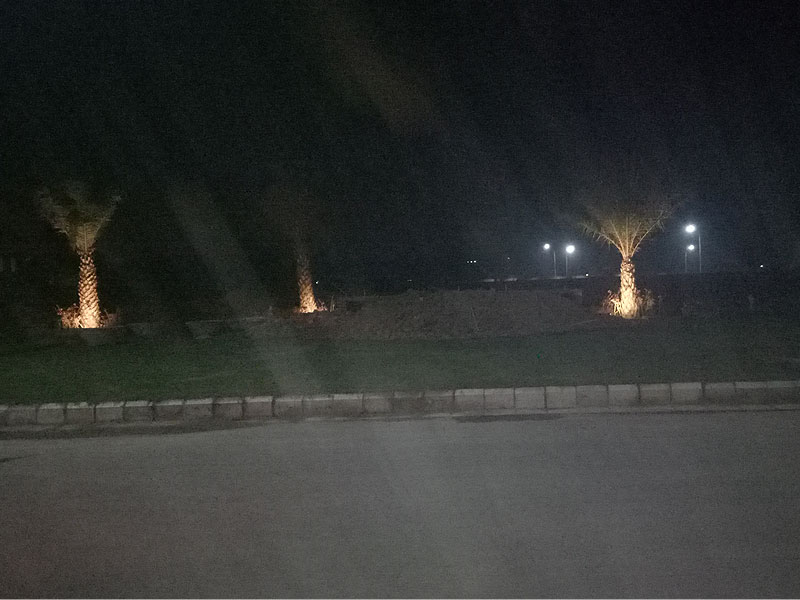 Manohar Singh & Company Chandigarh 06